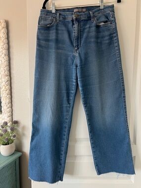 Joe's Jeans Light Blue Denim High-Rise Jeans size 31